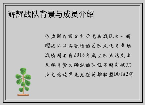 辉耀战队背景与成员介绍